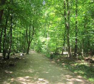 Osteinscher Landschaftspark