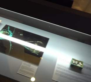 Jura-Museum