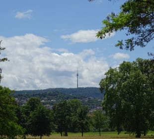 Fernsehturm vom Rosensteinpark aus gesehen