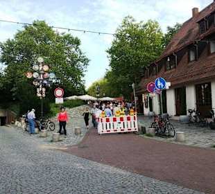 Insel Schütt Altstadtfest