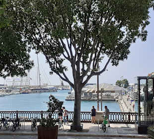 Promenade des Anglais