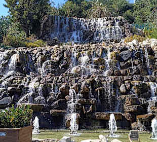 Türkbeleni Ormanı