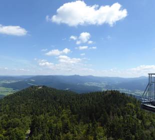 Tiefe Blicke in die Tschechei