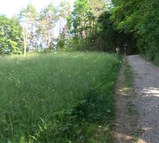 Kreuzweg zum Tannenrain