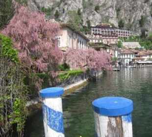 Idyll an der Uferpromenade