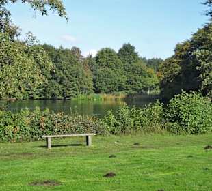 Herbst im Gesundheitspark Speckenbüttel