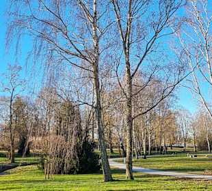 Morgens im Stadtpark