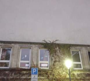 Wilhelmschule
