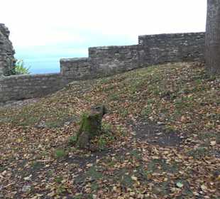 Wandern um die Rauber Ruine