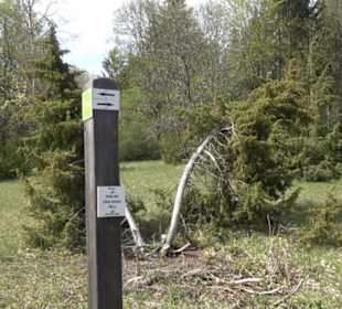 Naturreservat Beutenlay