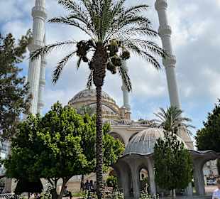 Moschee Manavgat 