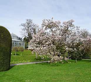 Wilhelma Stuttgart