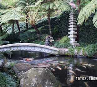 Japanischer Garten in Funchal