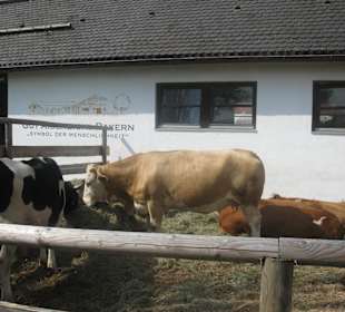 Gut Aiderbichl