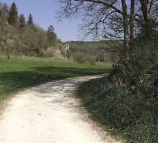 Waldlehrpfad an der Lauter