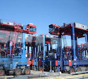 Hamburg - Auge in Auge mit den Giganten