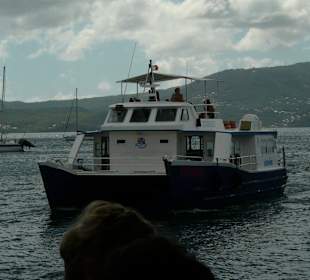 Stadtrundfahrt mit dem Pferdewagen