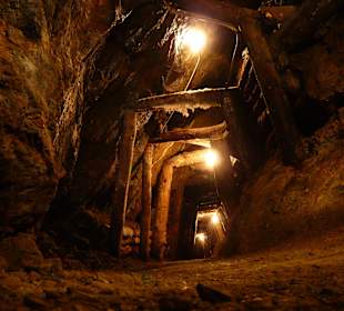 Besucher Sullen, Elisabeth Stollen