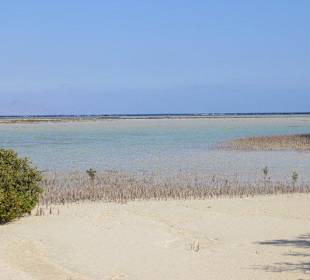 Lagune im Nationalpark Nabq