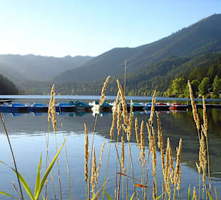 Erlaufsee