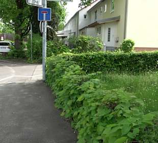 Stadtrundgang Balingen