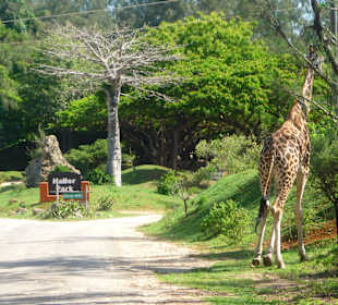 Schnell zur Fütterung