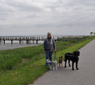 Schöner Spazierweg an der Eidermündung BE BIO Hotel be natural