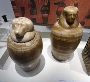 Rundgang durch das Pharmaziemuseum in Porto