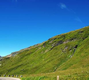 Alles im Grünen (Bereich)