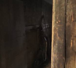 Hohenloher Freilandmuseum