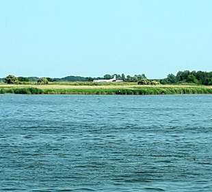Apollo Tagestour zur Greifswalder Oie 