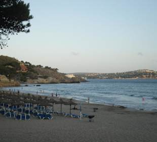 Strand in der Nähe des Hotels