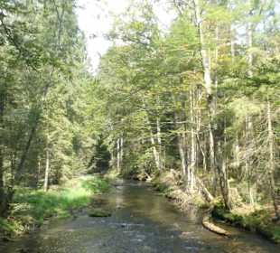 Von Bayerisch Eisenstein nach Ludwigsthal