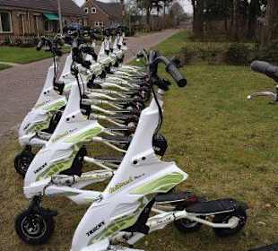 Die Trikkes stehen für Sie bereit