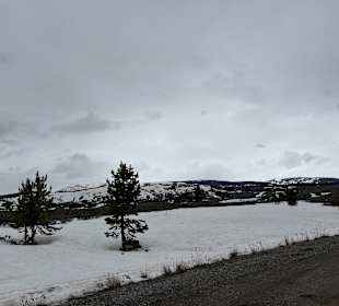 Yellowstone Nationalpark