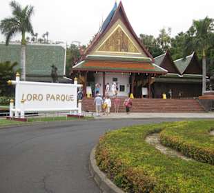 Ausflug Loro Parque