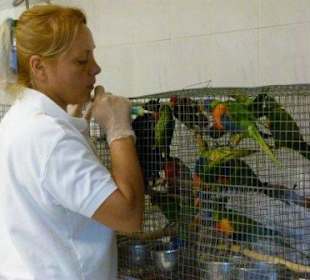 In der Loro-Babystation