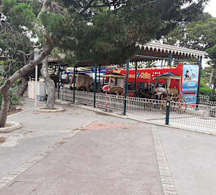 Howard Gardens in Mdina