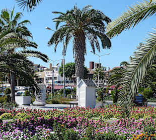 Immer wieder schön, die Blumenbeete am Hafen