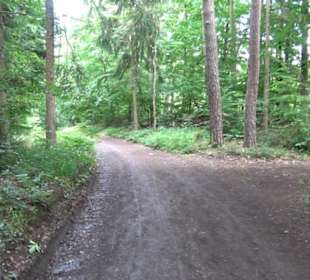 Wanderweg Märchensee Runde