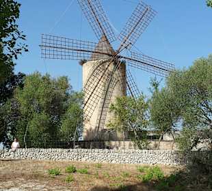 Windmühlen Lluchmayor / Llucmajor