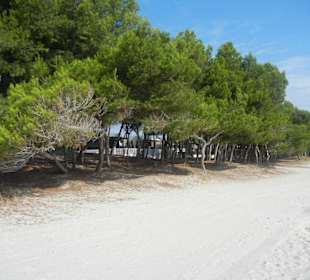 Strand Alcudia