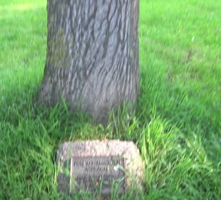 Stadtgarten Heidelberg