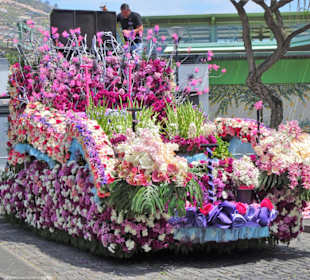 Umzugswagen des Blumenfestivals