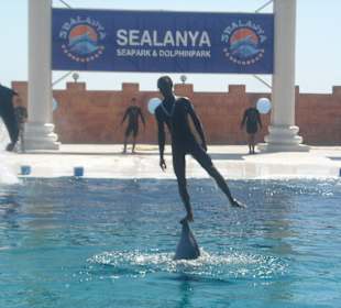 Delfinarium Alanya