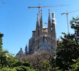 Halt an der Sagrada Familie