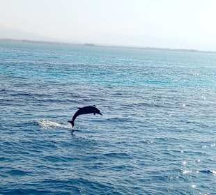 Susi in Ägypten - Ausflüge