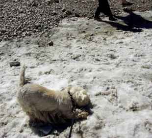 Ihr Reich Schnee pur