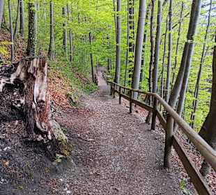 Wandern Bad Tölz
