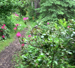 Mezger's Bürgle Park